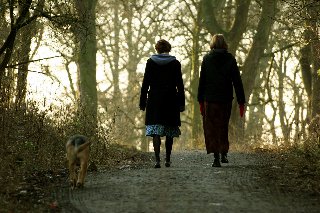 passeggiata tra amici