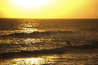 bellissimo mare al tramonto