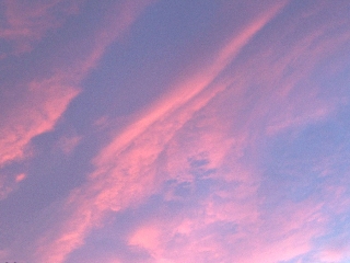 cielo rosaceo