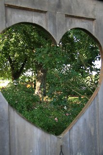 la natura attraverso la porta del mio cuore