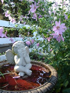 Angioletto tra i fiori