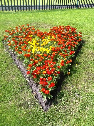 Cuore fiorito