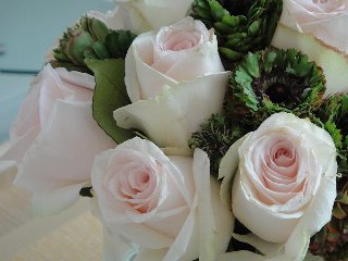 Mazzo di rose bianche da regalare