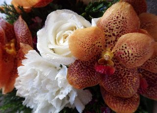 Orchidea assieme a rosa e ad altri fiori bellissimi