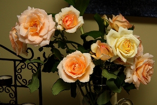 Vaso con enormi rose