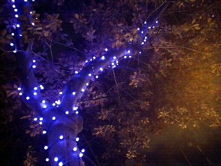 albero con lampadine di natale