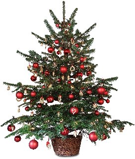 albero di natale addobbato