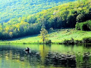 natura spettacolare riflessa su un lago incantato