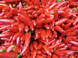 grossi peperoncini rossi in abbondanza