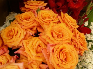Bouquet di rose arancioni