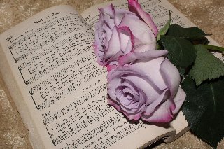 Rose romantiche su spartiti musicali