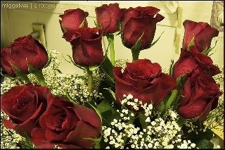 Stupendo bouquet di rose rosse
