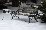 panchina vuota sulla neve
