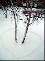 amore sulla neve tra gli alberi