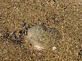amore sulla spiaggia