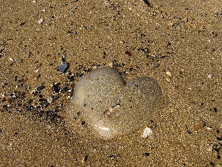 amore sulla spiaggia