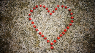 cuore a pezzettini