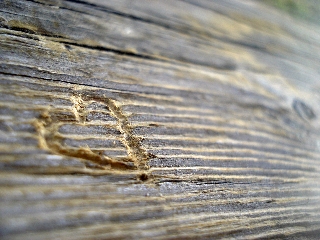 cuore inciso nel legno