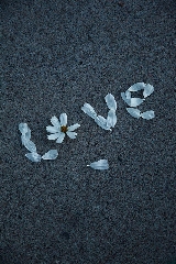 love scritto con margherite