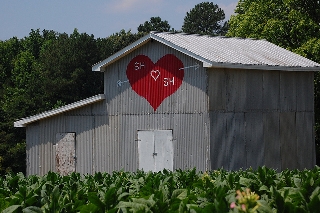 un amore di casa