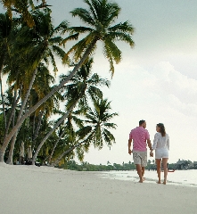 una romantica passeggiata tra le palme