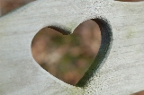cuore in schienale