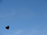 cuoricino nero in cielo azzurro