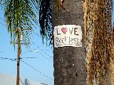 messaggio di amore su albero