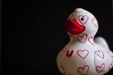 papera di amore