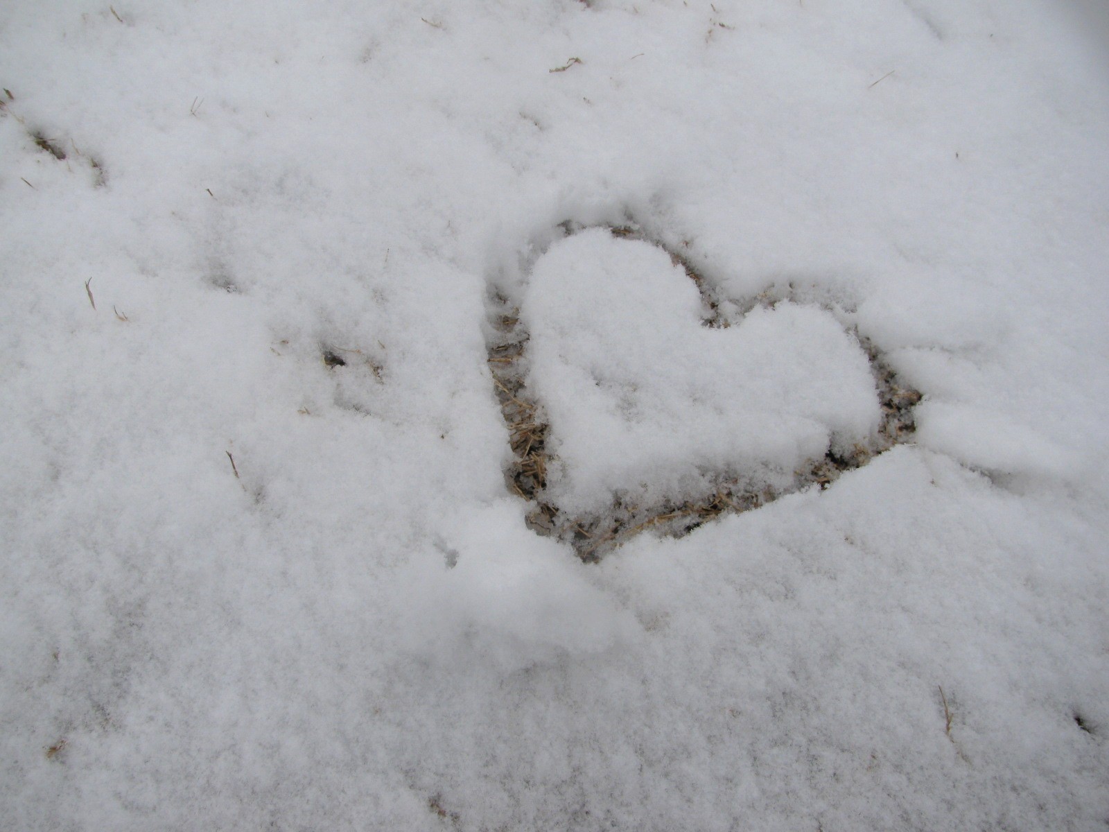 cuore sulla neve