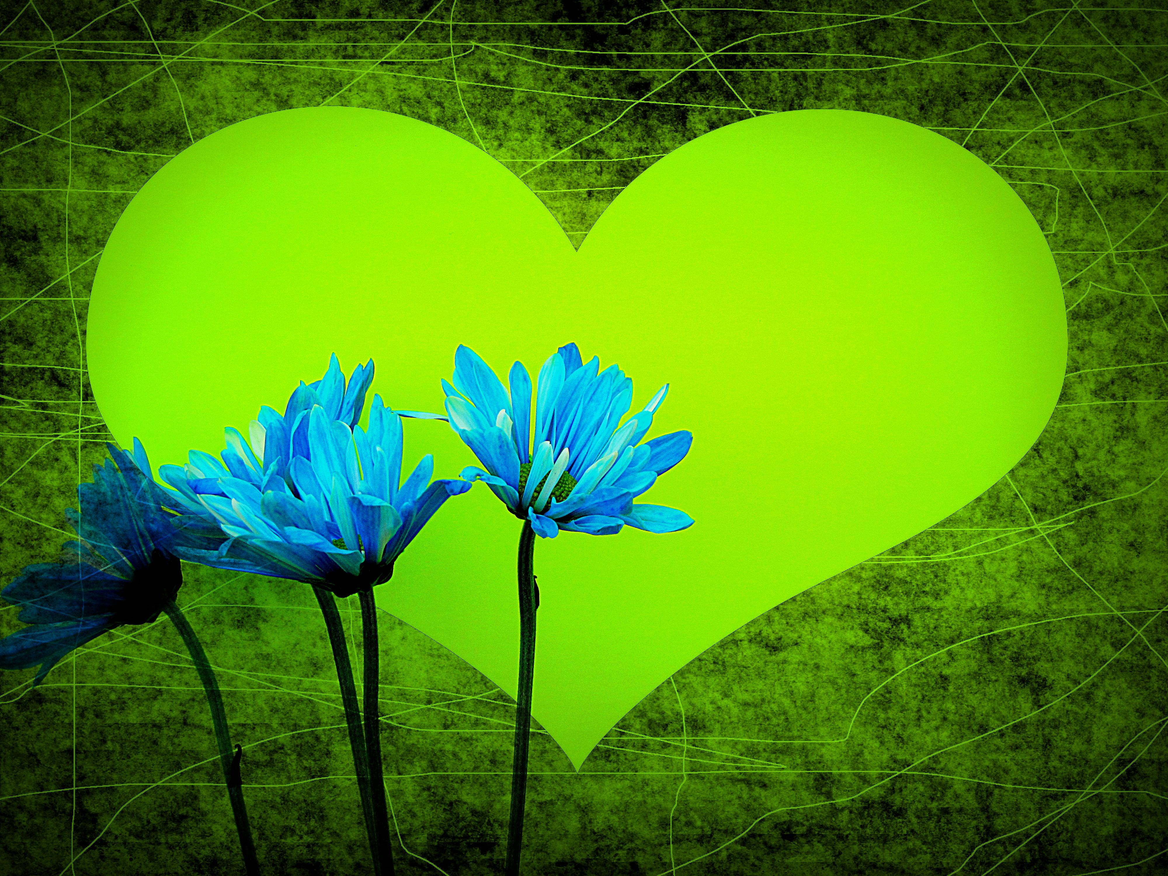 cuore verde luminoso e fiori blu